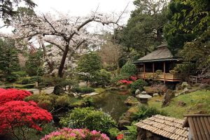 1 colorful japanese garden