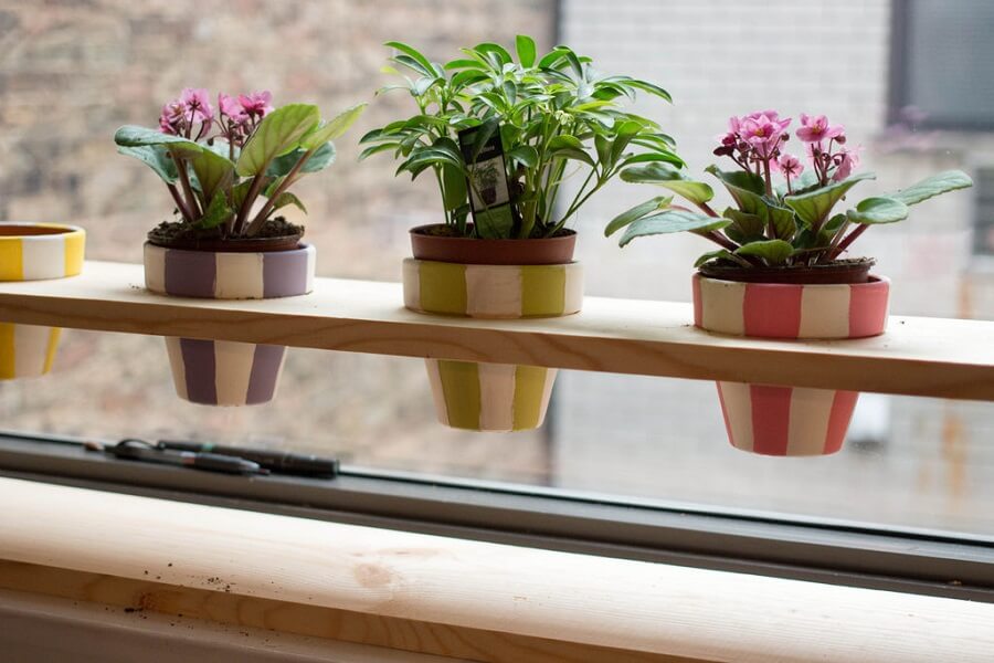 1 small planters fitted in wooden plank at the window