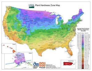 USDA planting zones map