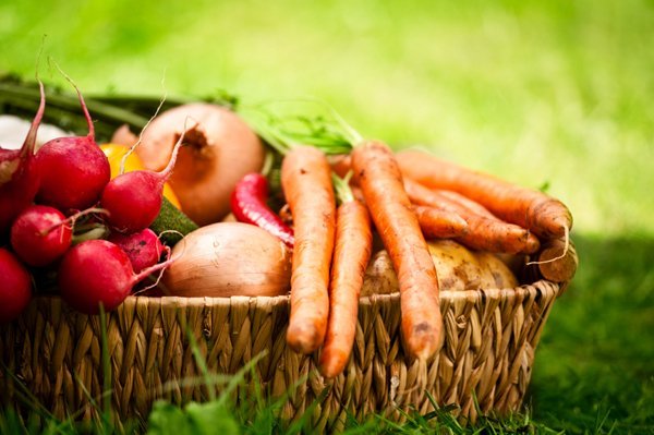 Top 10 Vegetables To Grow In The Fall