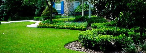 how to plant grass seed beautiful lawn