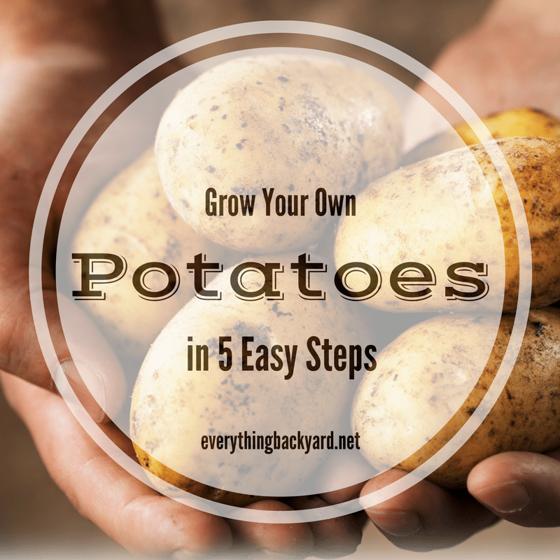 how to grow your own potatoes
