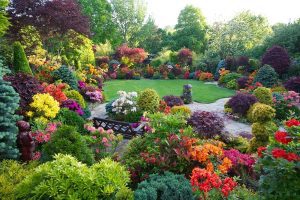 1 garden surrounded by many types of colorful flowers