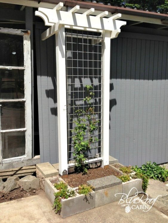 Fun Trellis 10 Fun DIY Garden Trellis Ideas to Try