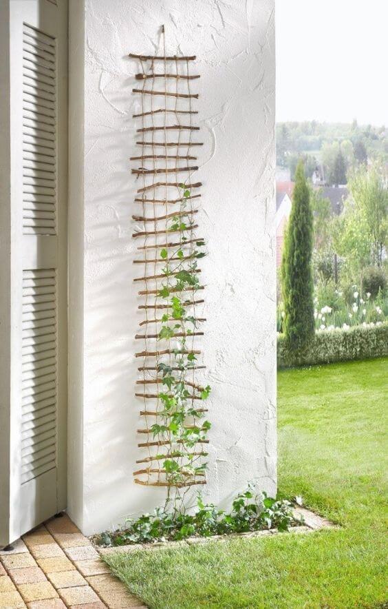 small ladder trellis on the side of a wall