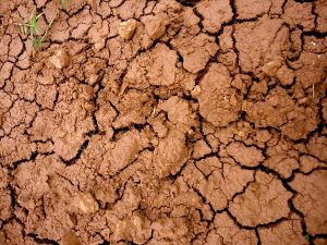1 close up of red clay soil