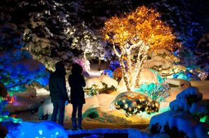 1 couple looking at christmas decorations in a botanical garden