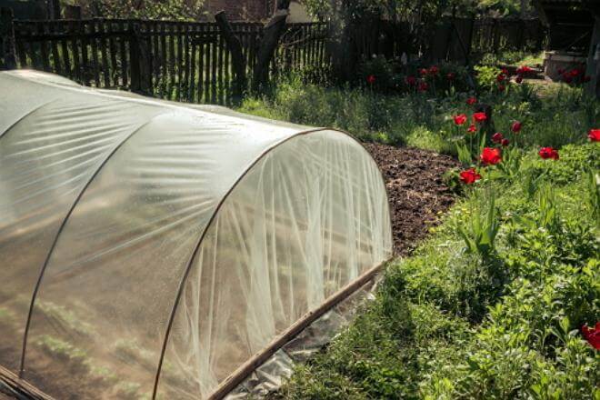 portable greenhouse covered with plastic sheet