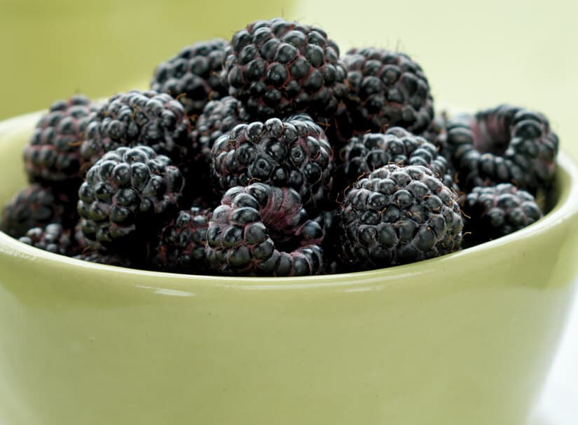 black raspberries in a bowl