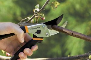1 cutting a branch with a pair of pruning shears