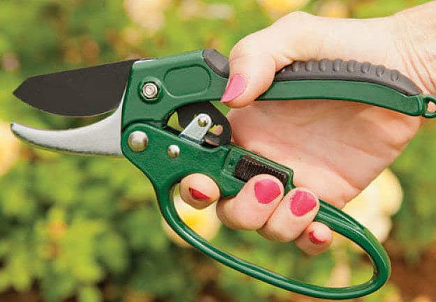 woman holding a pair of ratchet pruning shears
