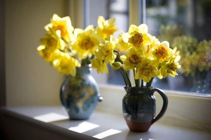 букет желтых цветов ваза стол бесплатно