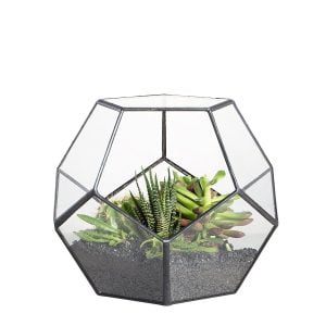 terrarium container