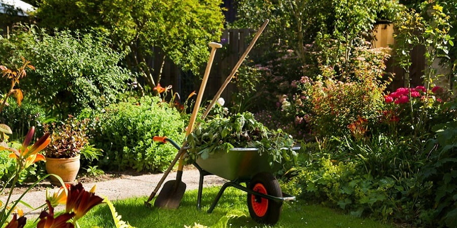 1 wheelbarrow in a backyard