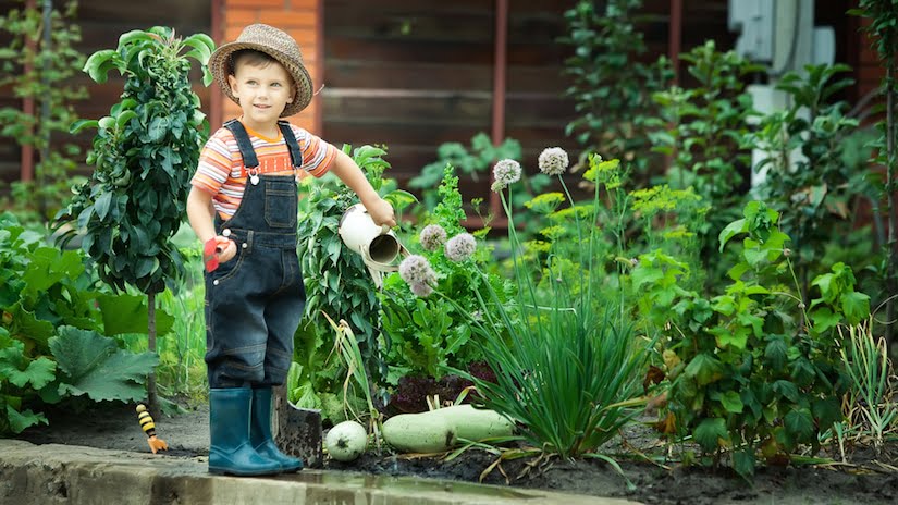 little boy watering plants, gardening with children