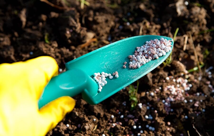 spade containing some fertilizer granules