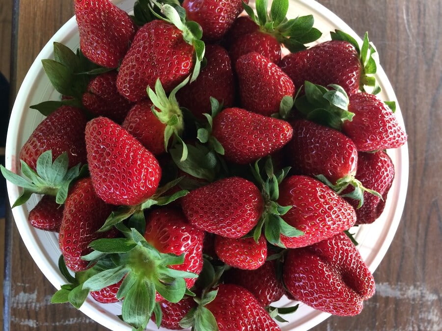 plate full of strawberries