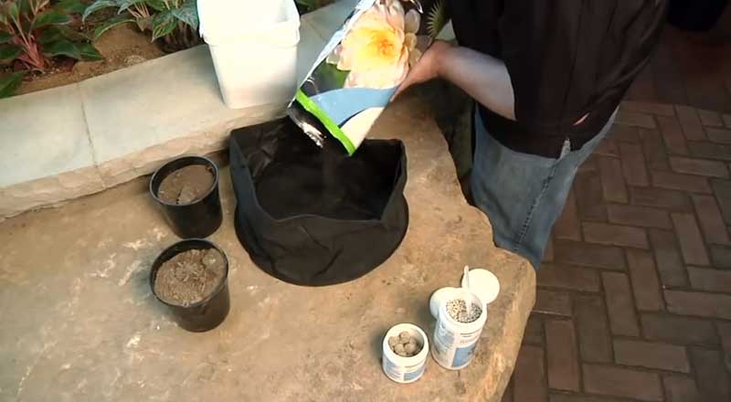 Soil Being Placed in a Pot