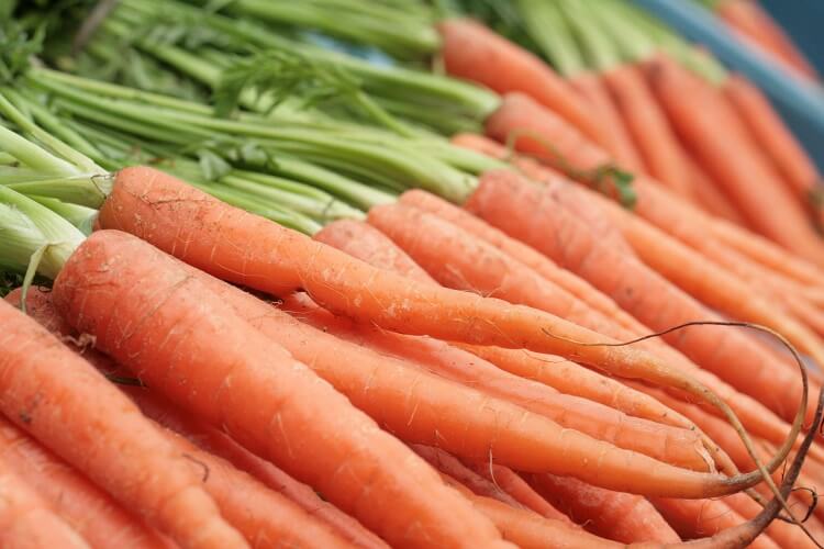 Close up of a carrot mound