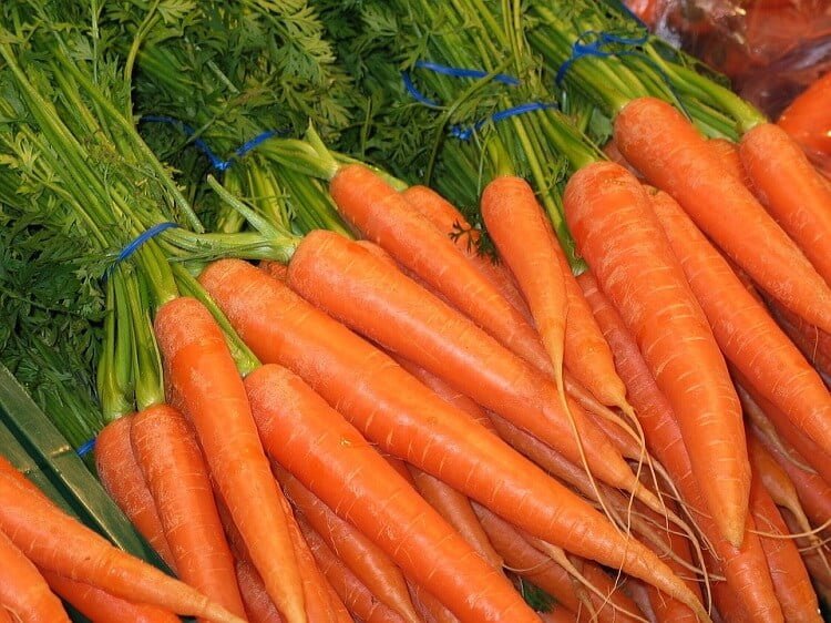 Mound of carrots seen from above
