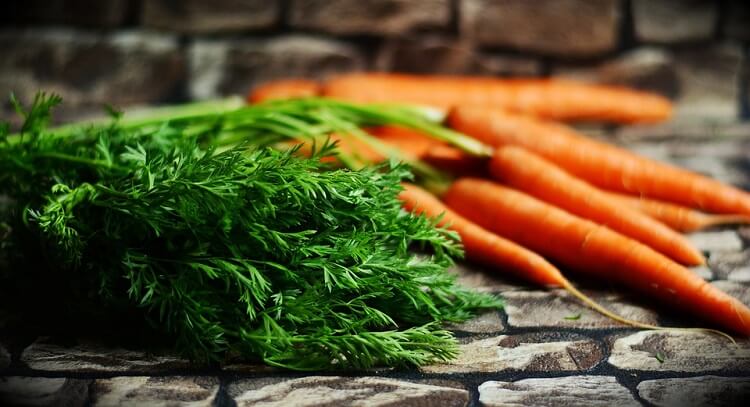 Close up of a carrot greenery