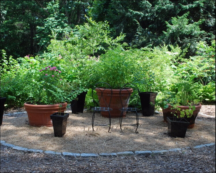 Edible garden pots with herbs