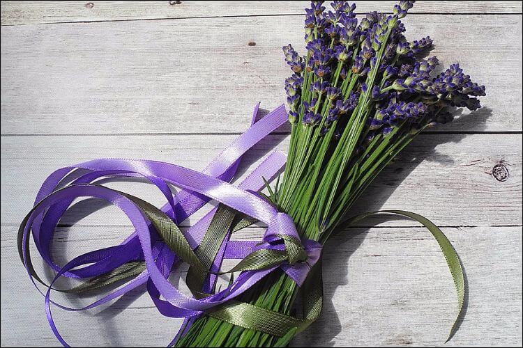 Lavender bunch with purple ribbon on it