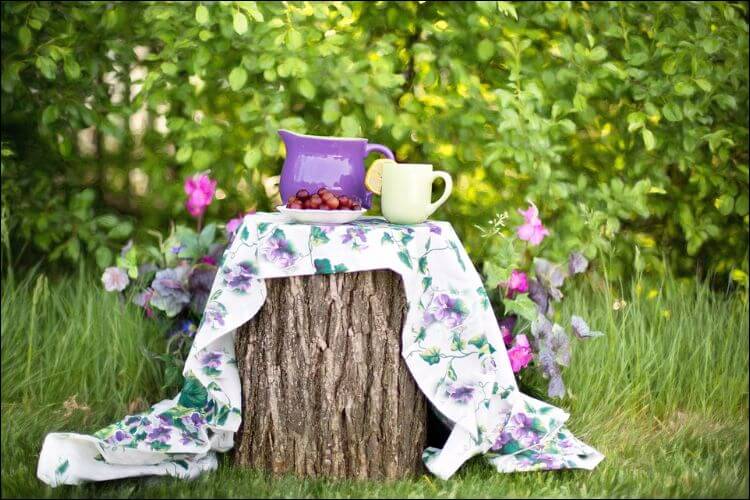 Garden decor with a mug, a jug, and a plate with chestnuts, placed on a table cloth, on a tree stump, against a background of hydrangeas and greenery