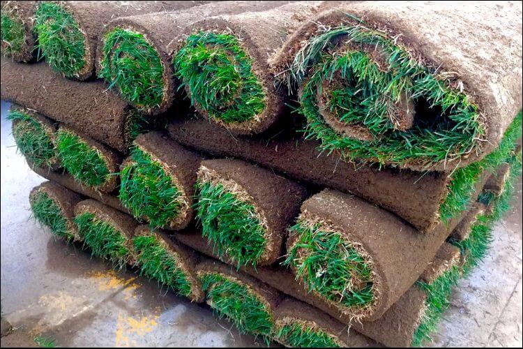 Five layers of rolled up lawn sods placed on the ground