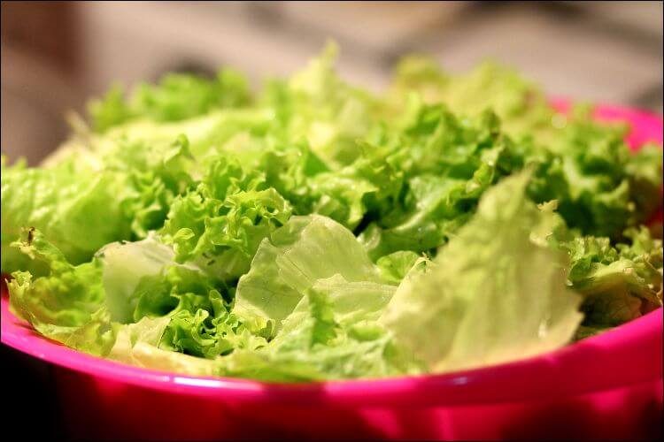 Close up of lettuce leaves found in a pink bowl