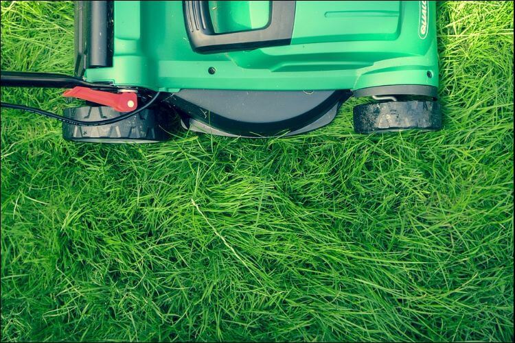 Green lawn mower on green grass