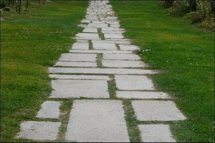 Front shot at an angle of a walkway made of pavers with green grass growing in between and around them