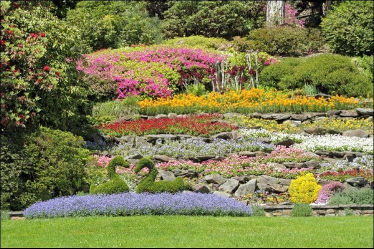 planting on a slope colorful flower beds on a slope