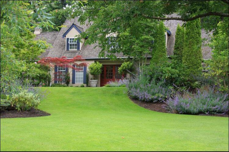 front yard landscaping ideas on a budget huge lawn in front of a home partly hidden by a tree