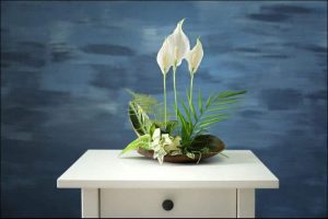 peace lily arrangement