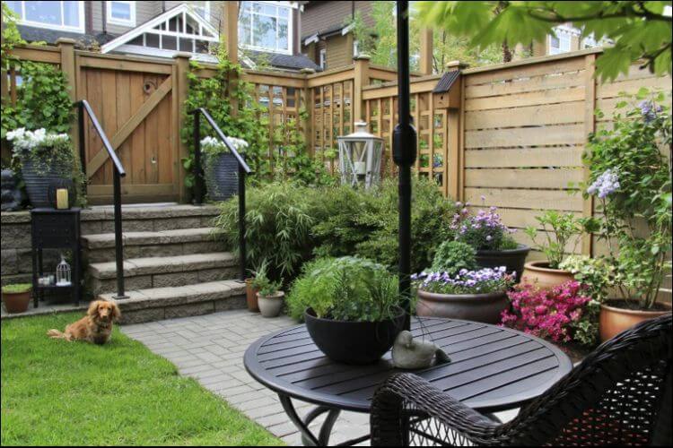 Dog Friendly Landscaping 14 Easy Ideas To Enjoy Your Backyard With Your Furry Friend