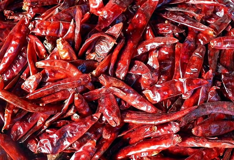 Dry chili peppers arranged on the table