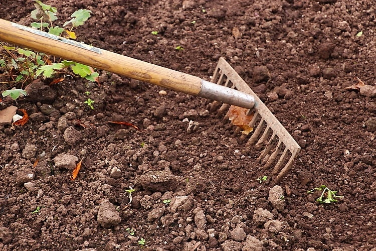 Person using a rake for gardening