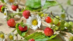 strawberries wild strawberries daisy still life close sweet fruit berry 603468