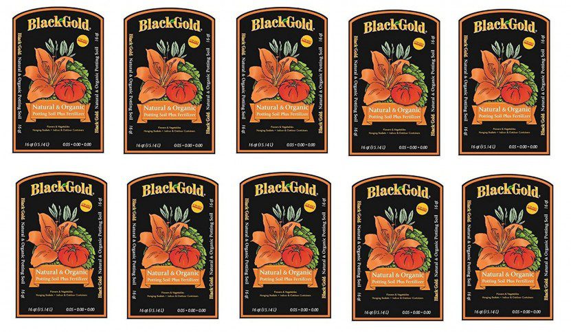 Black Gold All Organic Potting Soil Review