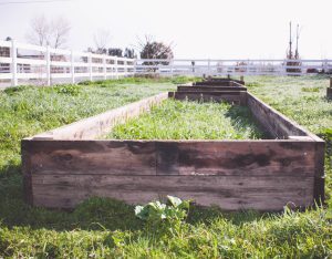 DIY Raised Flower Bed Project 1 of 1