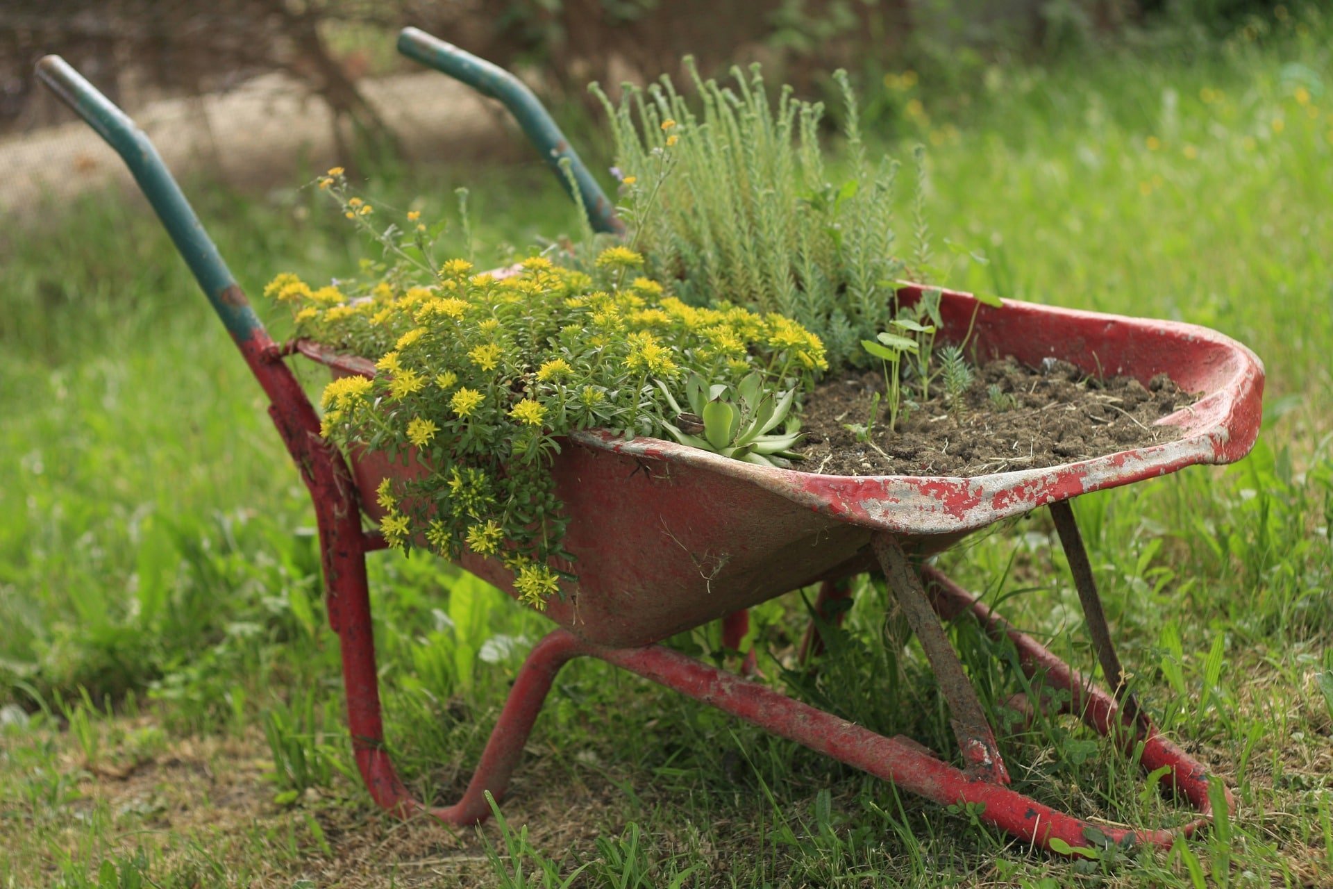 garden tools, garden utilities