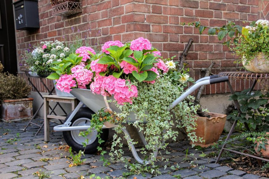 Wheelbarrow Planter Ideas You&#39;ll Love for Your Garden