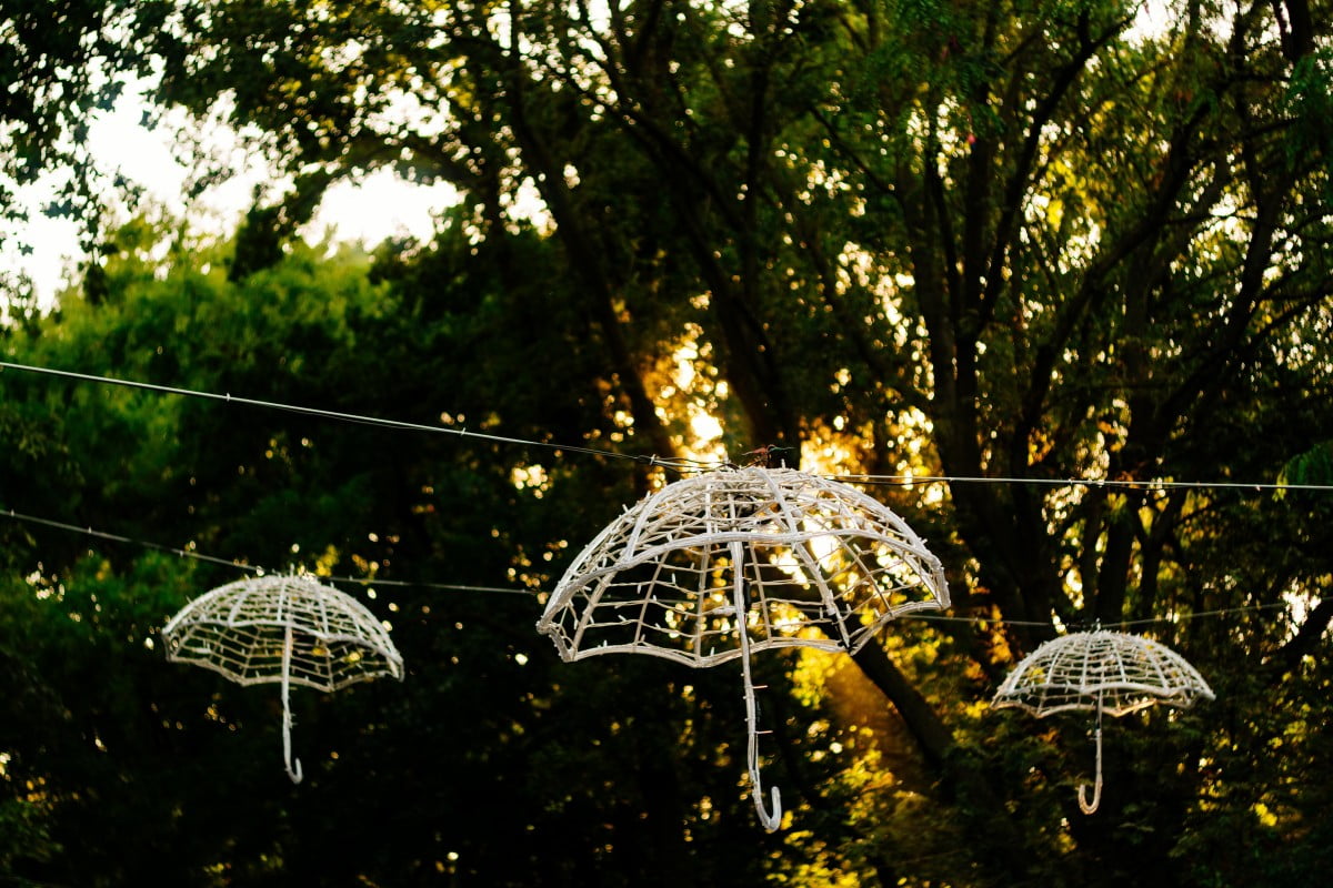 umbrellas light chain decoration garden evening sunset trees park 846316