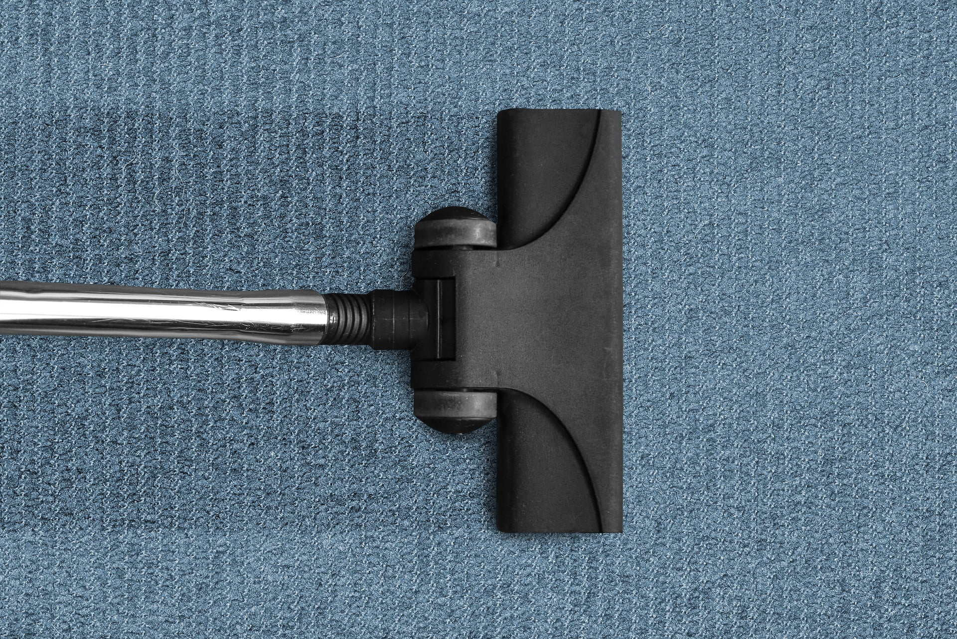 shop vacuum for carpet cleaning