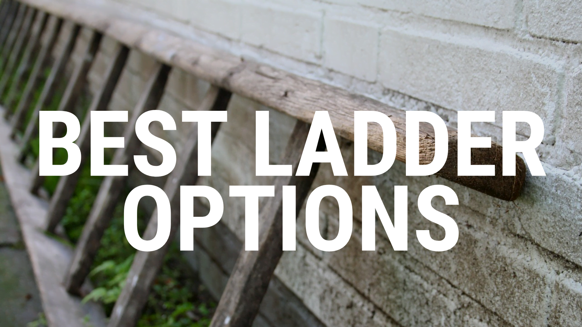 Best ladder options
