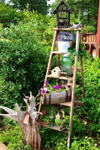 old ladders in the garden