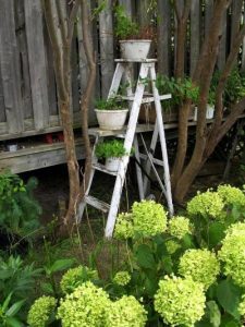 old ladders in the garden