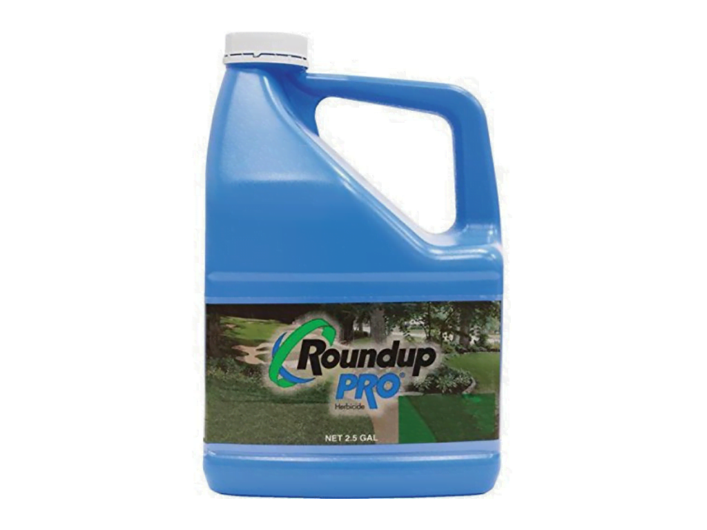 roundup pro, roundup pro concentrate, roundup label, roundup commercial, roundup pro label, roundup pro max, roundup pro concentrate ratio, roundup herbicide label, how to mix roundup pro, roundup concentrate, roundup glyphosate label, roundup mix ratio, roundup pro concentrate mix ratio, roundup professional, roundup pro herbicide label, commercial roundup herbicide, monsanto roundup pro, roundup mix, how to mix roundup, roundup pro mixing instructions, roundup pro concentrate herbicide msds, roundup directions, roundup label directions, roundup herbicide concentrate, roundup mixing instructions, roundup pro concentrate 2.5 gallon, roundup mix rate, roundup label rates, roundup pro concentrate herbicide 2.5 gallon 524 529, roundup mixture, roundup pro concentrate label, roundup pro herbicide, roundup pro mix ratio, roundup pro concentrate mixing instructions, commercial grade roundup, roundup concentrate directions, roundup pro concentrate msds, roundup product label, herbicide concentrate, roundup concentrate label, roundup concentrate mix ratio, roundup concentrate mix, roundup product picker, mixing roundup concentrate plus, roundup weed killer instructions mixing, roundup mixing directions, roundup herbicide label instructions, monsanto roundup mixing instructions ,roundup products information, pro monsanto, how to mix roundup concentrate plus, roundup directions for use concentrate, roundup pro 2.5 gallon, roundup pro concentrate 50.2 glyphosate, roundup label usa, roundup weed killer label, roundup products, roundup herbicide instructions, roundup weed killer concentrate mixing instructions, roundup herbicide mixing ratio, roundup mixing ratio per gallon, roundup pro msds, pro glyphosate, roundup pesticide label, how much roundup pro per gallon, industrial strength roundup, roundup mixture rate, roundup dilution rates, how to use roundup concentrate, roundup concentrate plus mixing instructions, roundup label monsanto, roundup concentrate plus instructions, roundup instructions, roundup herbicide mixing instructions, roundup concentrate dilution ratio, dilution rate for roundup concentrate, weed killer concentrate, roundup price, bulk weed killer, bulk roundup, bulk weed killer spray, roundup for sale, roundup herbicide price, roundup price per litre, industrial weed killer, roundup weed killer cheapest price, cheap weed killer concentrate, commercial grade weed killer, commercial weed killer concentrate, professional strength weed killer, commercial weed killer, professional weed killer, farm grade roundup, roundup concentrate price, roundup weed killer price, cheap round up, cheap roundup, roundup best price, bulk roundup concentrate, where to buy commercial grade weed killer, roundup for weeds only, bulk weed killer concentrate, prosecutor weed killer price, professional strength lawn weed killer, roundup weed killer price comparison, farm grade weed killer, roundup cost, lesco prosecutor for sale, professional weed killer products, industrial grade weed killer, weed killer price, roundup 2.5 gallon concentrate pro herbicide, roundup quick pro home depot, industrial strength weed killer, container round up, full strength roundup, roundup herbicide for sale, roundup msds sheet, home depot herbicide, roundup home depot, industrial weed killer for sale, where to buy roundup quick pro, glyphosate home depot, how much roundup per gallon of water, how much roundup per gallon, how much roundup per gallon for weeds, roundup per gallon, roundup concentrate per gallon, round up questions, concentrated roundup to water ratio, how much roundup concentrate per gallon, mix ratio for roundup super concentrate, roundup powermax for sale