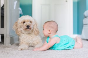 letting your kids grow up with a dog